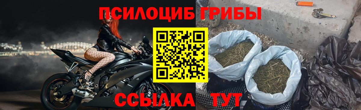 Псилоцибиновые грибы Magic Shrooms Кириши